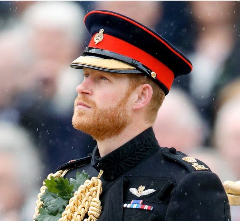 Senior Lieutenant Zandi Sussex tweet media