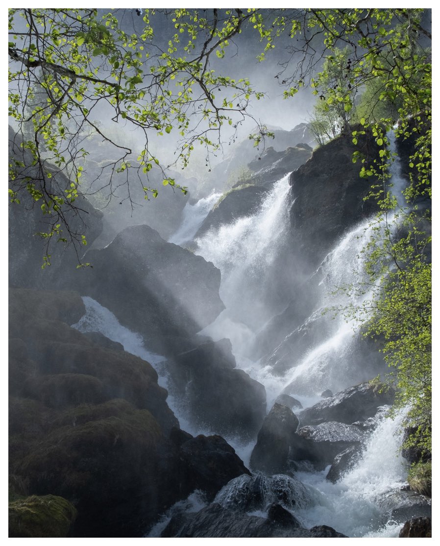 Roger Kristiansen Photography tweet media