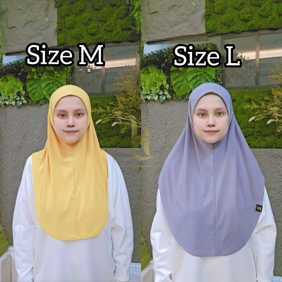 Mon Ryanti tweet media