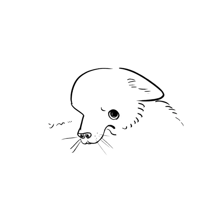 不満な犬のスケッチ 