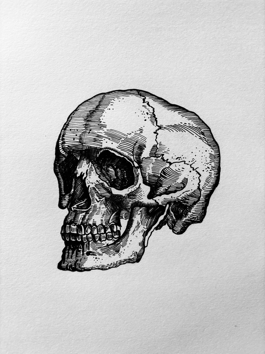 Recent work 💀🦴
#medtwitter
#medicalillustration
#pathtwitter #PathArt 
#pathX