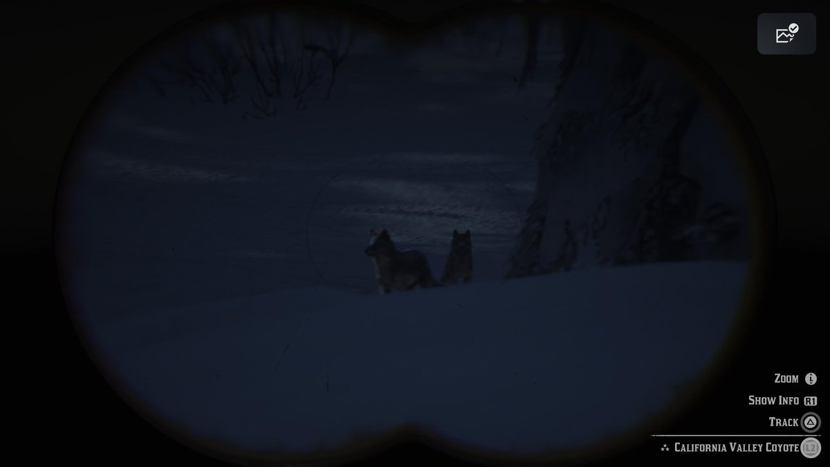 While I'm hunting in #RedDeadRedemption2, I sometimes like to feed coyotes and watch them eat. Idk why, I feel for the digital wildlife. Coyotes are cool.

#reddeadonline