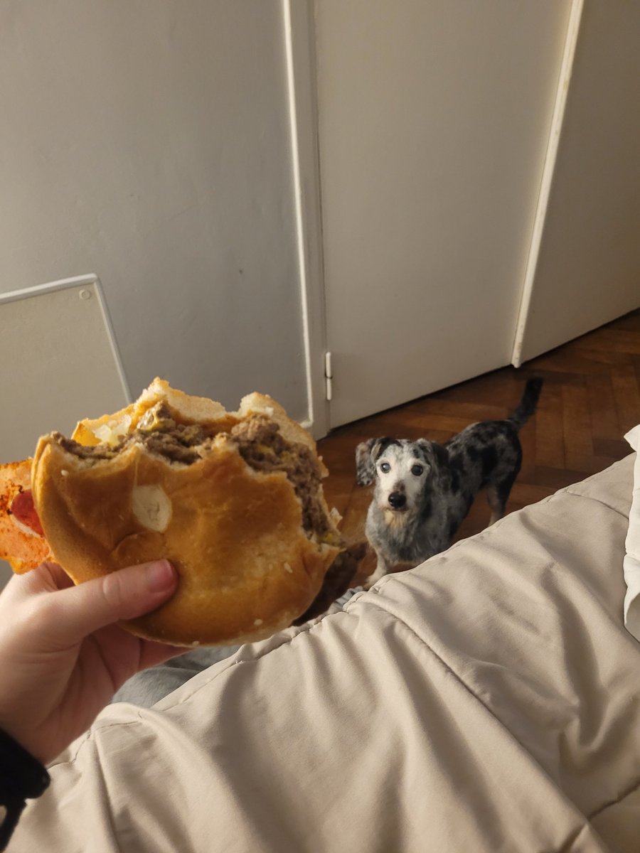 galitaxk's tweet photo. aca comiendo adelante de los pobres perro putoo https://t.co/iFk7mTeeOC
