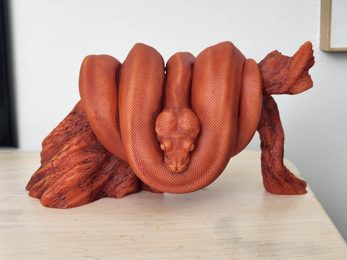 The first tactile piece for the Dragons exhibit- this Green Tree Python. For those missing context, this model was designed to be exhibited alongside a live specimen. It's fully touchable, which is enjoyable for everyone but benefits the blind and those w/low vision especially.