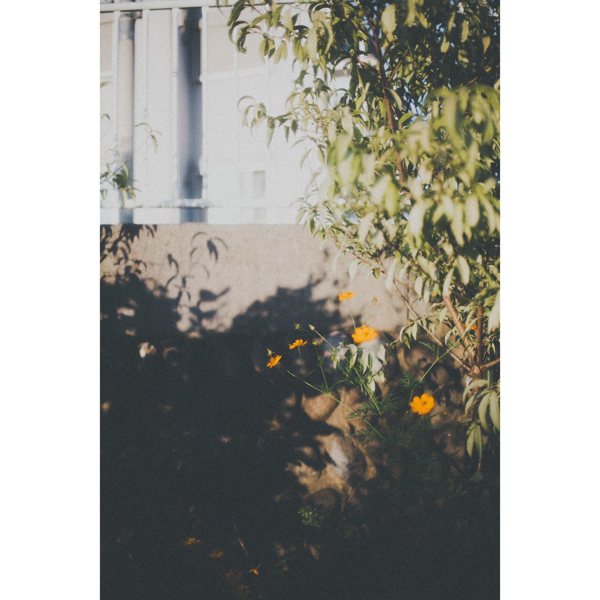 Mori (@cooom_1525) on Twitter photo 