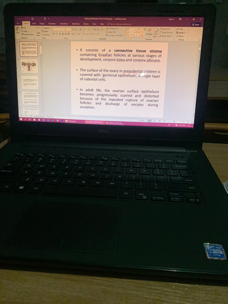 Exam szn 😵‍💫
Have anatomy exam on Tuesday 
#studytwt #archivetwt
