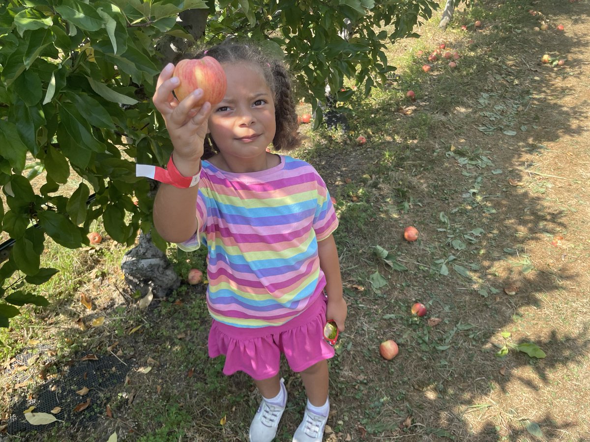 TravisThomasExp's tweet photo. The Apples Of My Eye! Nothing Like Fall In #newengland @Lookout_Farm #travisthomasexperience #letsgocolt #letsgocam https://t.co/gdLiEnj2Wz