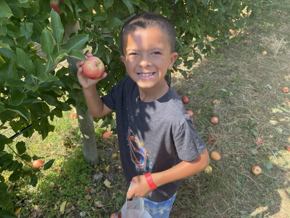 TravisThomasExp's tweet photo. The Apples Of My Eye! Nothing Like Fall In #newengland @Lookout_Farm #travisthomasexperience #letsgocolt #letsgocam https://t.co/gdLiEnj2Wz