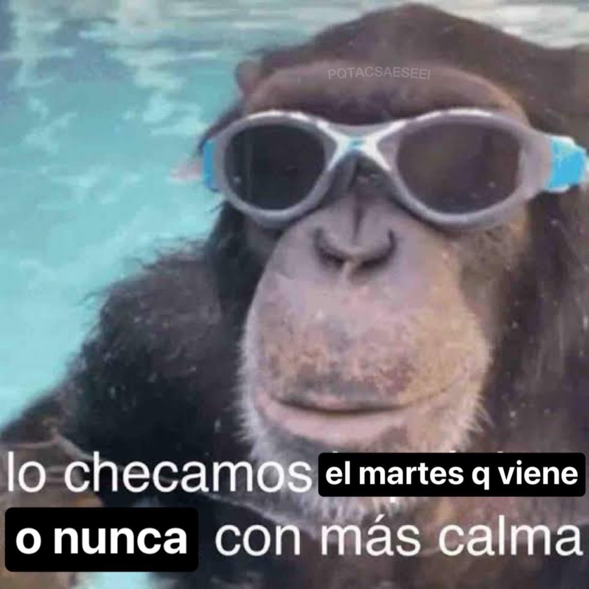 ElJeringasLoko's tweet photo. si https://t.co/ka2iNlTcb8