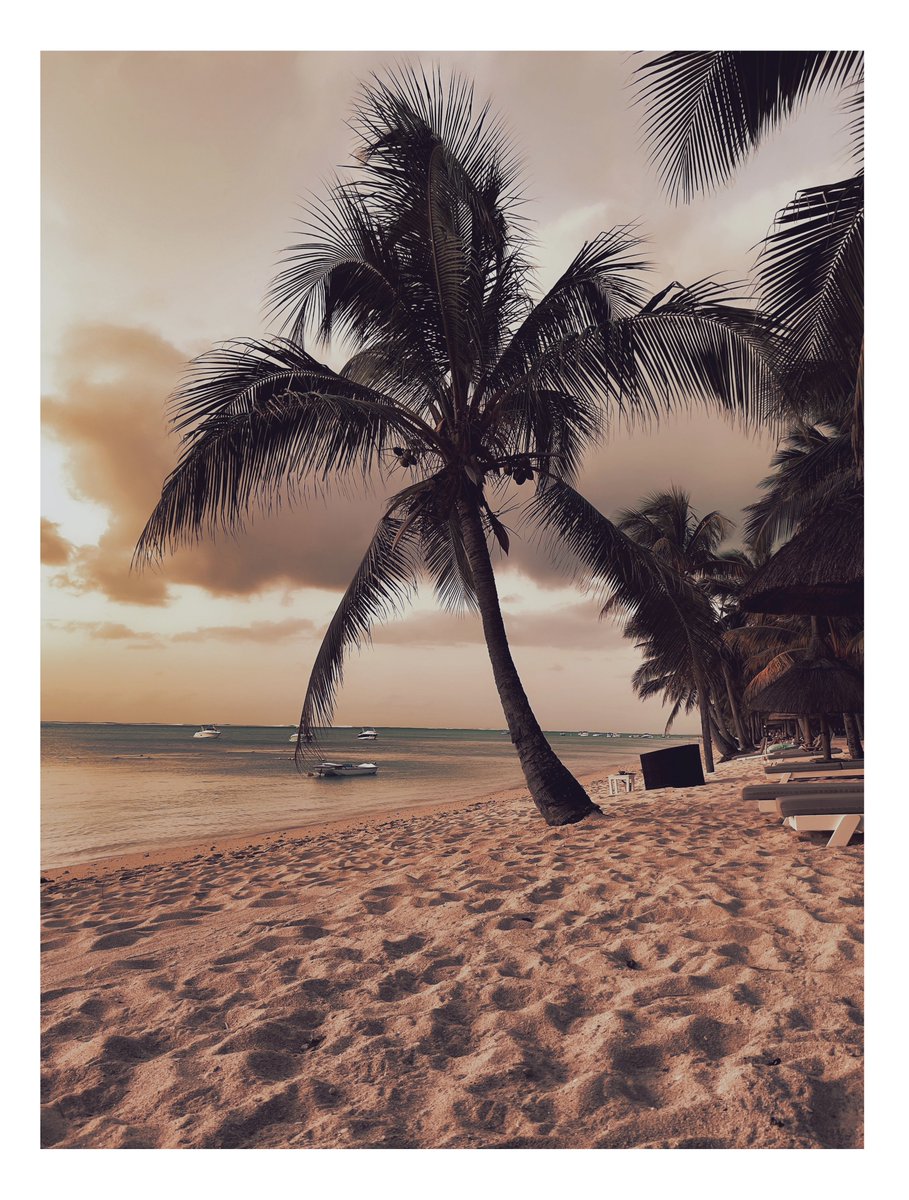 Evening vibes at <a href="/LUXLeMorne/">LUX* Le Morne</a> 🌅 The perfect beachside escape in #Mauritius #kodachrome