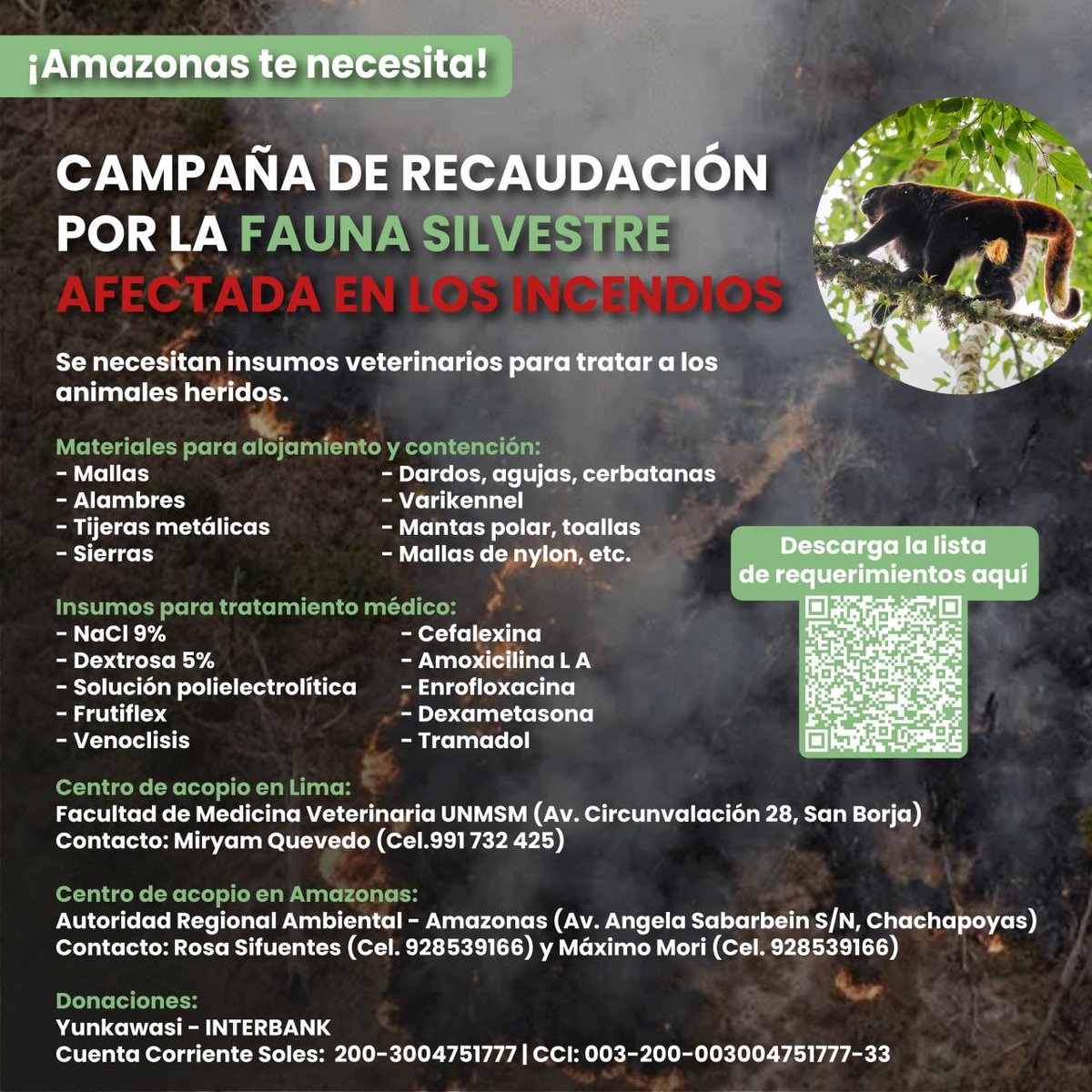 GASA44772171's tweet photo. Por favor, todos los peruanos que estén viendo esto, te necesitamos, desde mi facultad andan recaudando fondos para luchar contra el incendio que se anda dando y donde nadie esta haciendo nada, la fauna silvestre los necesita 🐒🐦🐸🐗🐭🐻🦫🦥🐝🦉
#incendiosforestalesPerú https://t.co/1oiNldZJGo
