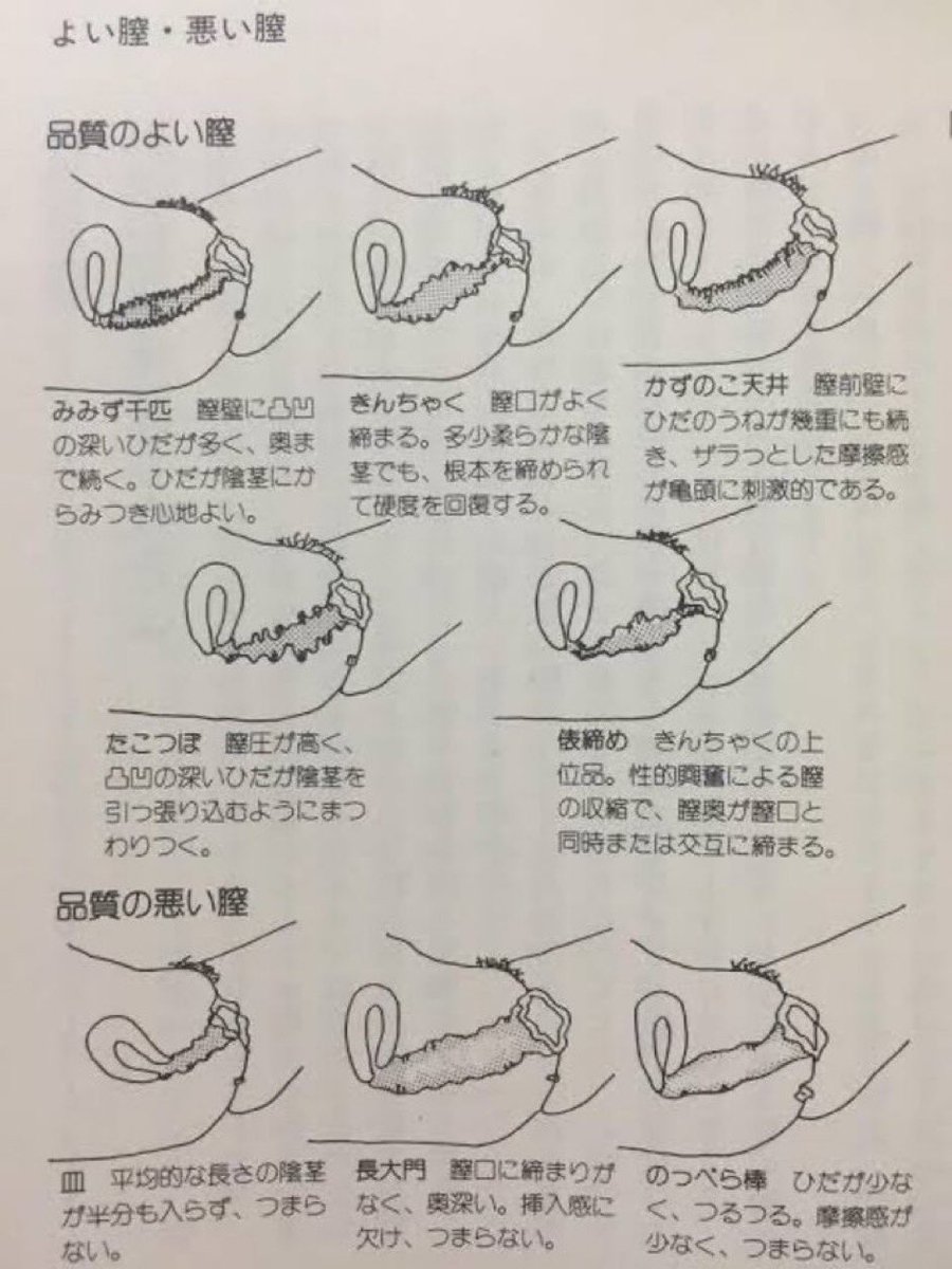 yuruko1224's tweet photo. ���名器とは品質のよい膣】
※ブクマ必須
ガバガバ過ぎても、狭すぎてもダメ。
あなたは名器に巡り会ったことはある？ https://t.co/5XJ8Iu2MLh