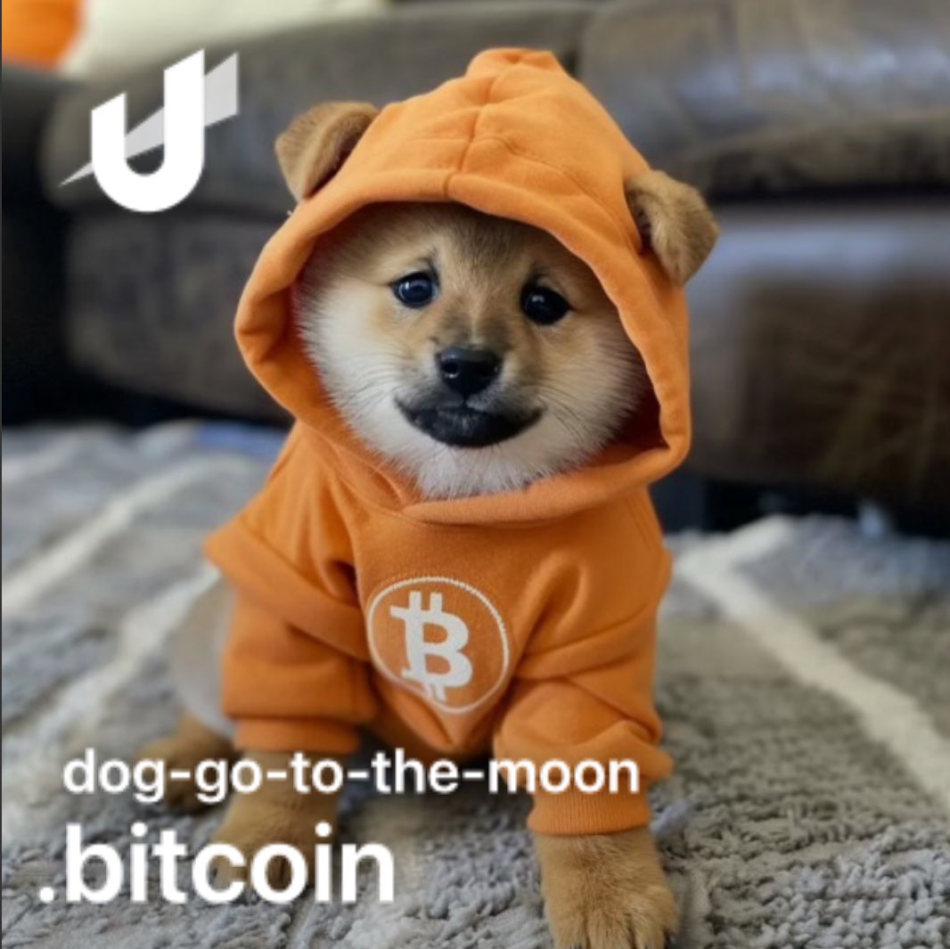 enstroll's tweet photo. @LeonidasNFT ᛤ 🟧🐕 #runestone #stonedaf #getstoned #runes #freeandfair #bendtheknee #runesprotocol $DOG 🐕 @unstoppableweb
DOG•GO•TO•THE•MOON https://t.co/gHs5nw0lUw