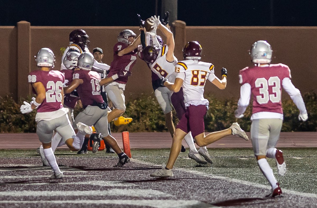 AggPhoto tweet media