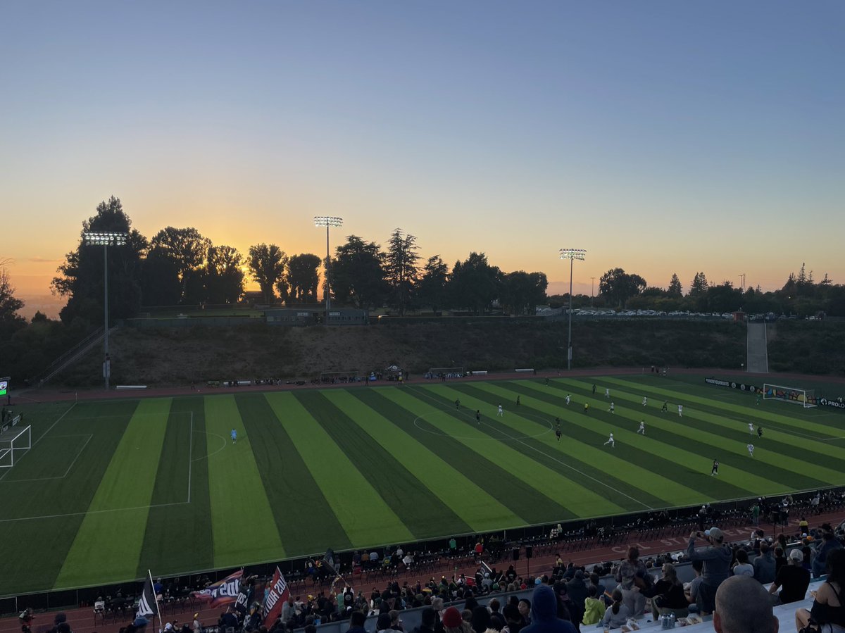 Charles Wollin tweet media