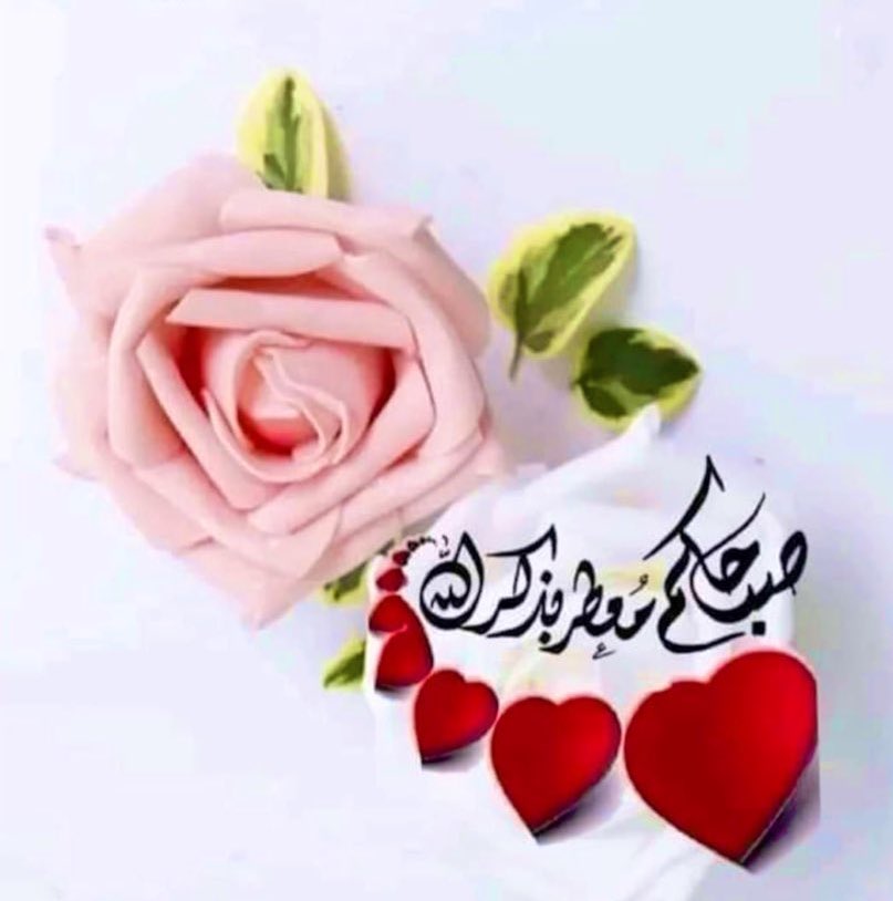 amo1002's tweet photo. صباحك جمال يبعث لك ابتسامة
 لا تفارق محياك 🌹
#صباح_الخــــير https://t.co/y8V6UBE71L