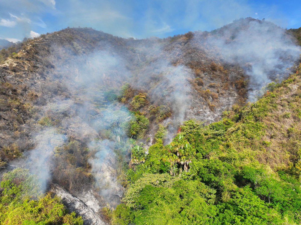 velcytrujillo's tweet photo. Alerta en el departamento de Huila: ya son aproximadamente 15,000 hectáreas consumidas por incendios forestales en los municipios de Neiva, Palermo, Campoalegre y Yaguará. Las autoridades locales solicitan con urgencia mayor apoyo del gobierno nacional para controlar las llamas. https://t.co/YMoQT98mfz