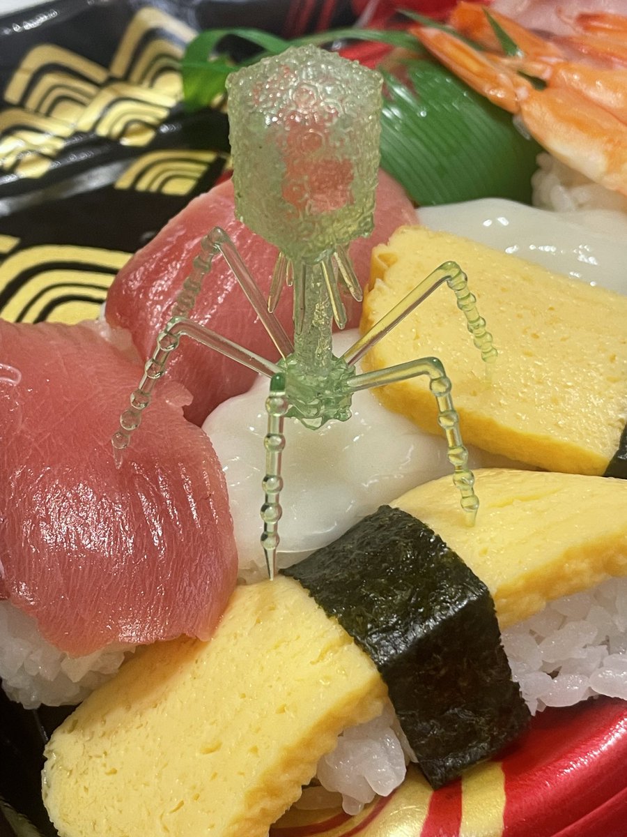 fluor_doublet's tweet photo. 娘、新しい寿司ネタを開発する。 https://t.co/b3UVXR4CLn