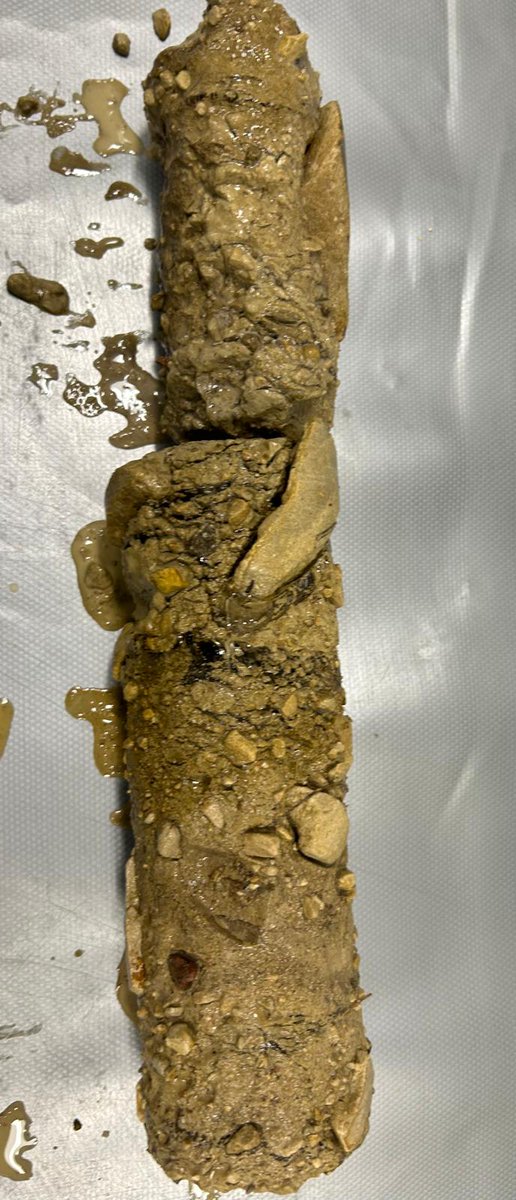 Arctic Ecology & Biogeochemistry_NCPOR tweet media