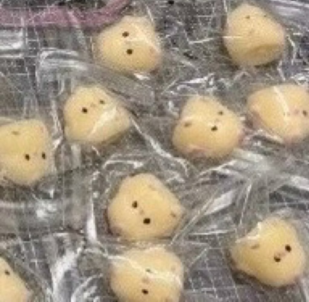 kat_07z's tweet photo. WTS Gantungan Taba Squishy anak ayam 25k "masih di WH-china

Arrived kemungkinan 25.9 " udh bisa di co sama pihak ku 

Boleh dp 15k ✅
Dom Tanggerang 📍

#wts #wtb #gantungan #squisy #taba https://t.co/zys3Wqqw9f