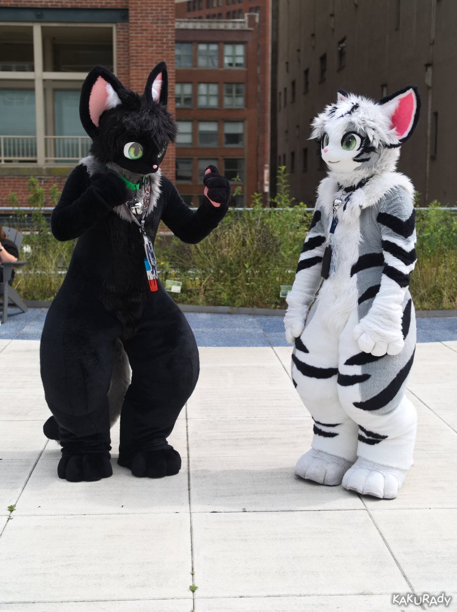 Kotetsu.bsky.social tweet media