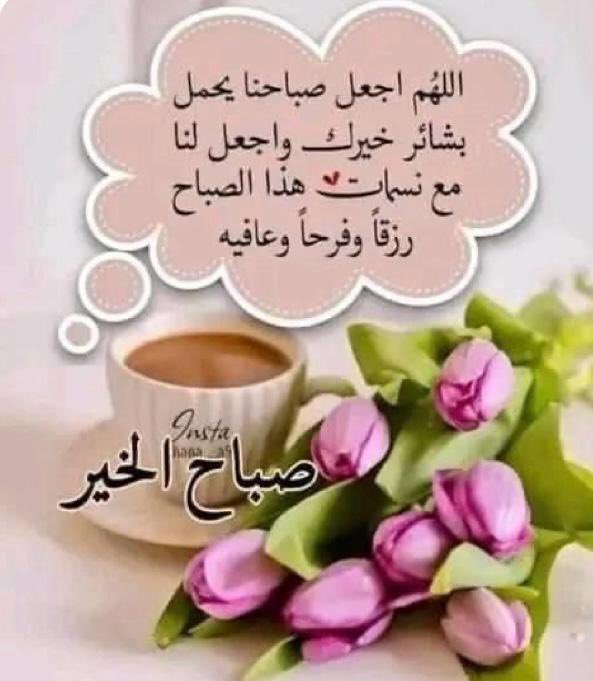 #صباح__الخير

"لا يَفتح الله أبواب الخير إلا لمن طرقها ، فمن أقبل ، أقبل الله عليه ومن أعرض أعرض الله عنه."
                     - علي الطنطاوي-