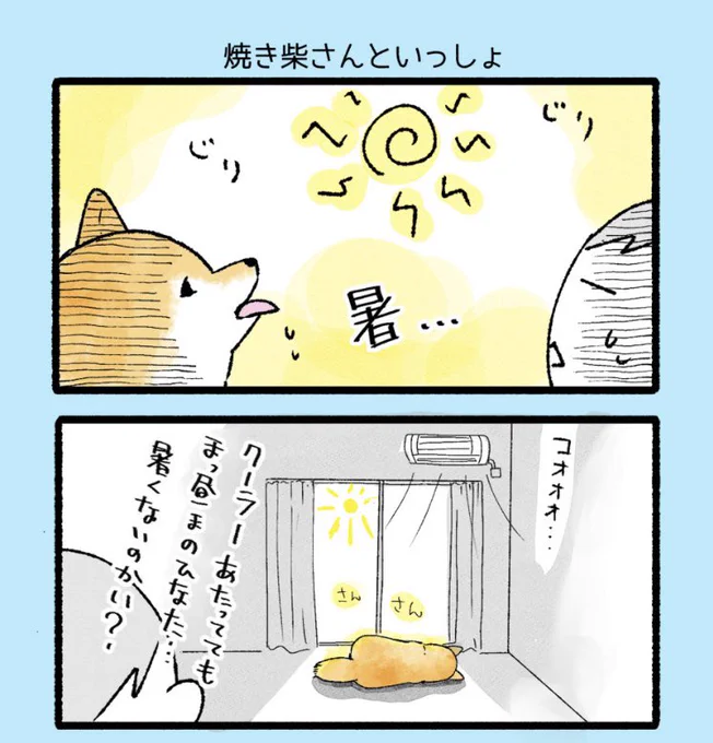 焼き柴さん