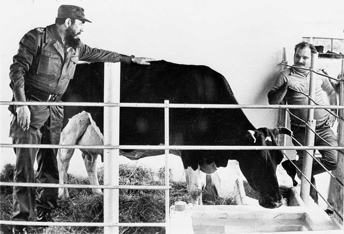 Paperclip_In's tweet photo. Throughout history, powerful leaders, including dictators, have often been seen with their beloved pets. Some truly adored these animals, while others used them for propaganda, the most legendary being Fidel Castro and his super cow. A thread. https://t.co/15KadXIdQ0