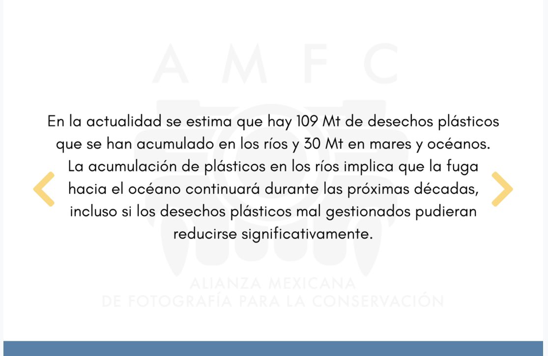 Alianza AMFC (@AlianzaAmfc) / Posts / X