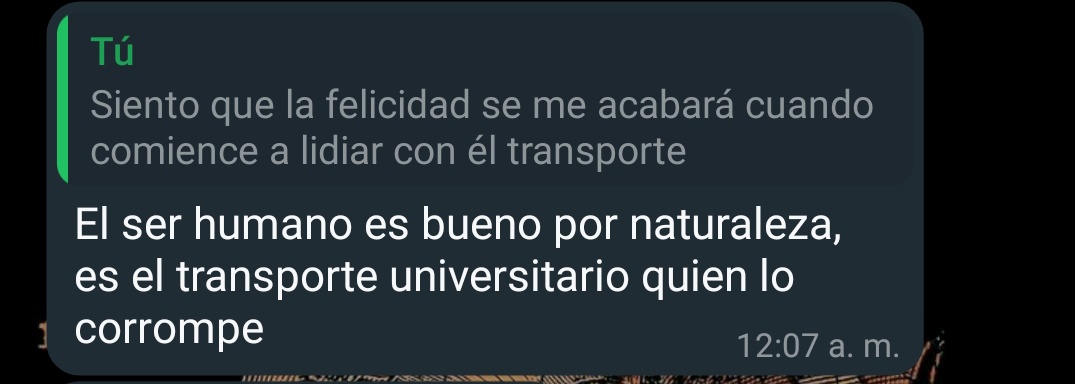 constanzazambu's tweet image. No ha comenzado el trimestre y ya me siento estresada con el transporte