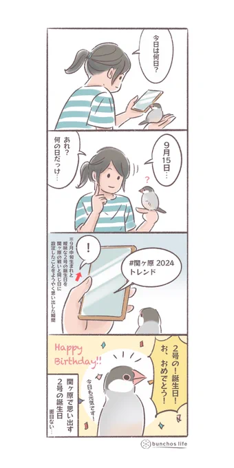 トレンドの関ヶ原で思い出す2号の誕生日!美味しいもの買い行かなきゃ!
#文鳥 
#4コマ漫画 