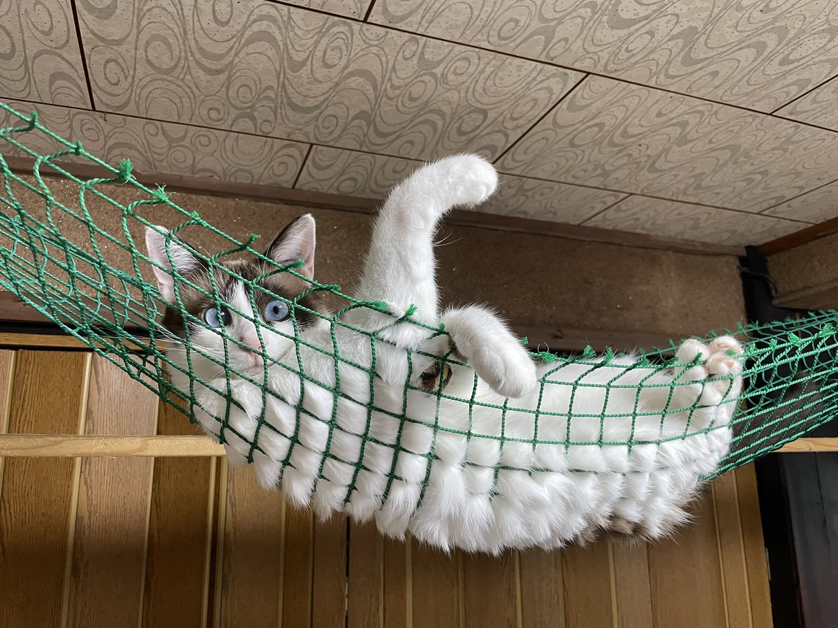 なにやってんすか。