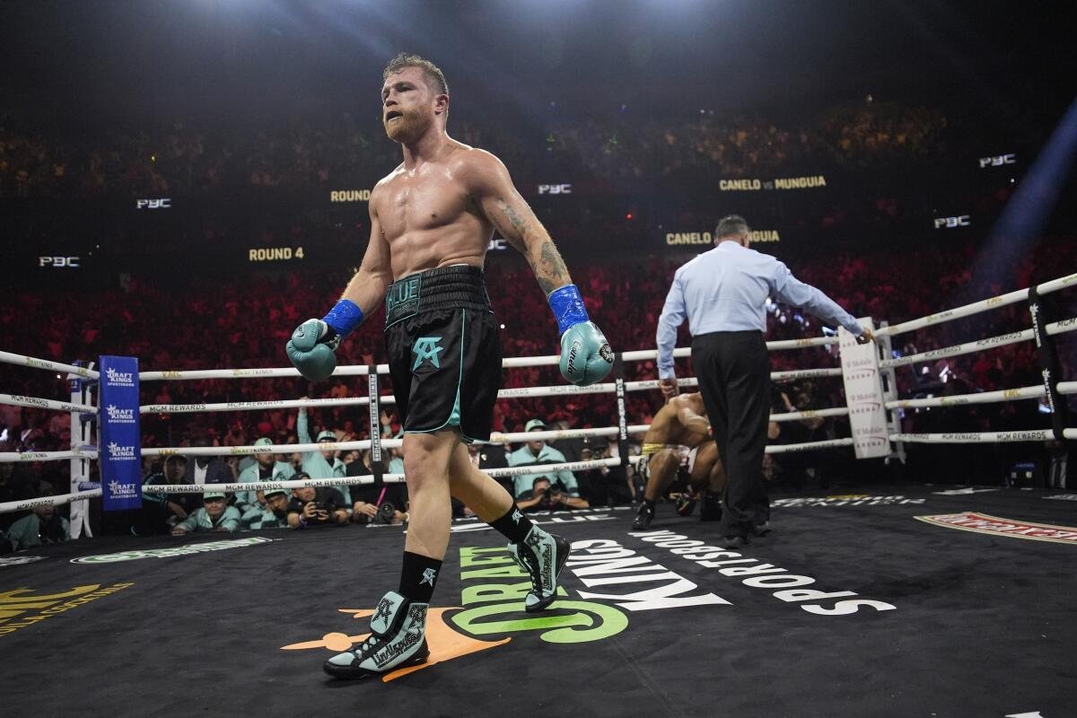 7ctcsCA_'s tweet photo. SE ACABÓ, SE ACABÓ, SE ACABÓ

EL MEJOR PESO MEDIANO VOLVIÓ A GANAR, LLEGÓ LA VICTORIA 59.

SAUL "CANELO" ALVAREZ CABRONES, ARRIBA MÉXICO A LA VERGA.🔥🔥 https://t.co/RfVw0u2wHh
