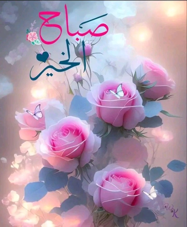 صباح الخير والبركات ⭐️🌻🏵