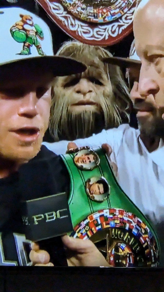 BrunusCutis's tweet photo. Apparently Chewbacca is a Canelo fanboy! https://t.co/ZsEGrQ9rMy