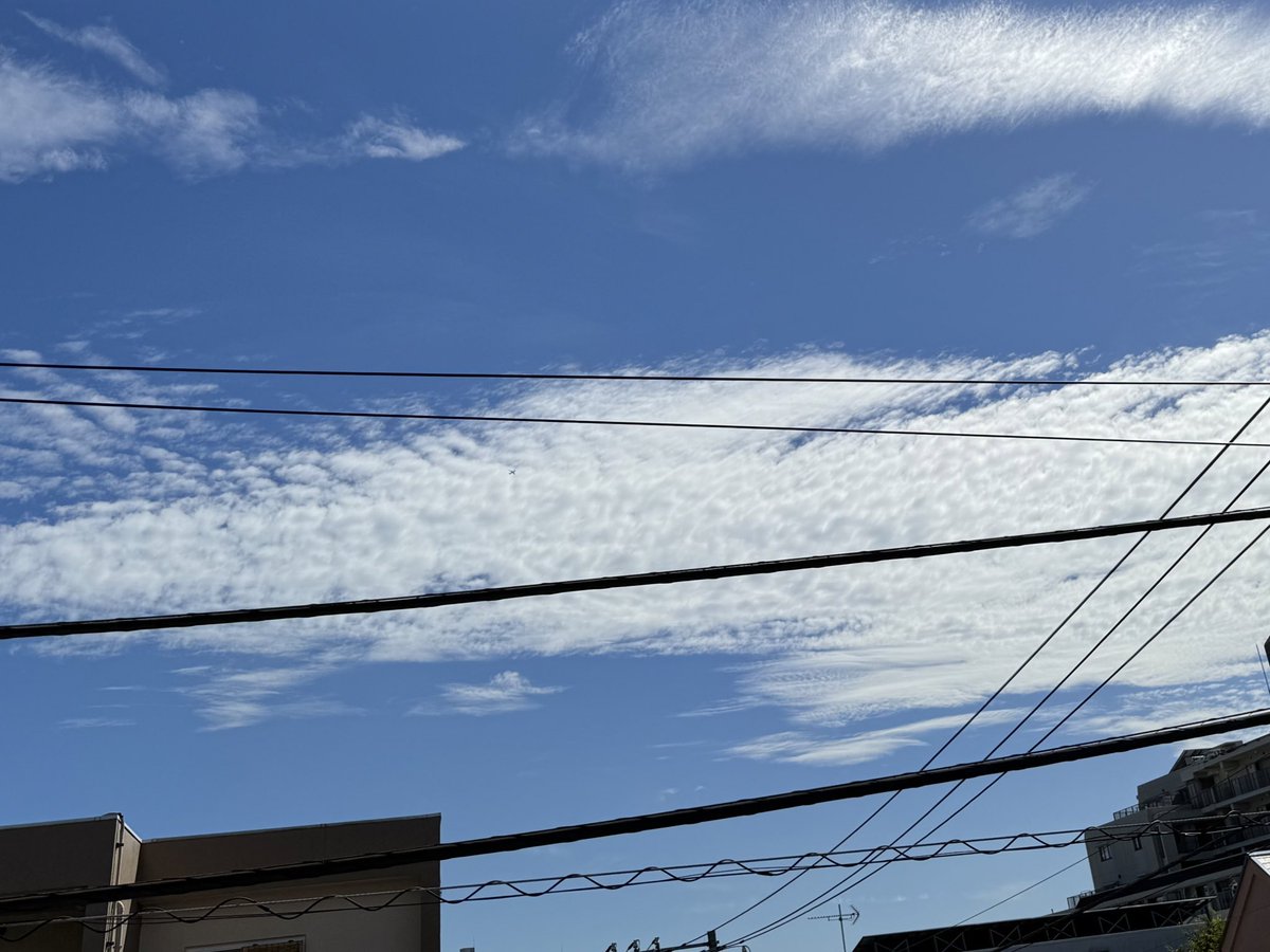 nft84111's tweet photo. 思いを馳せて… https://t.co/LJeOr7A7JH