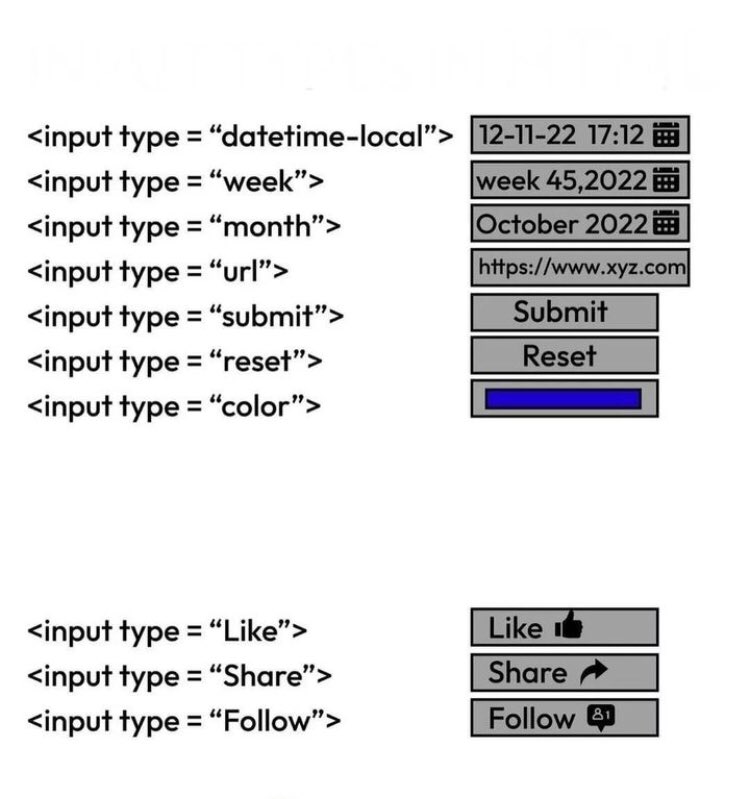 _devtips's tweet image. 