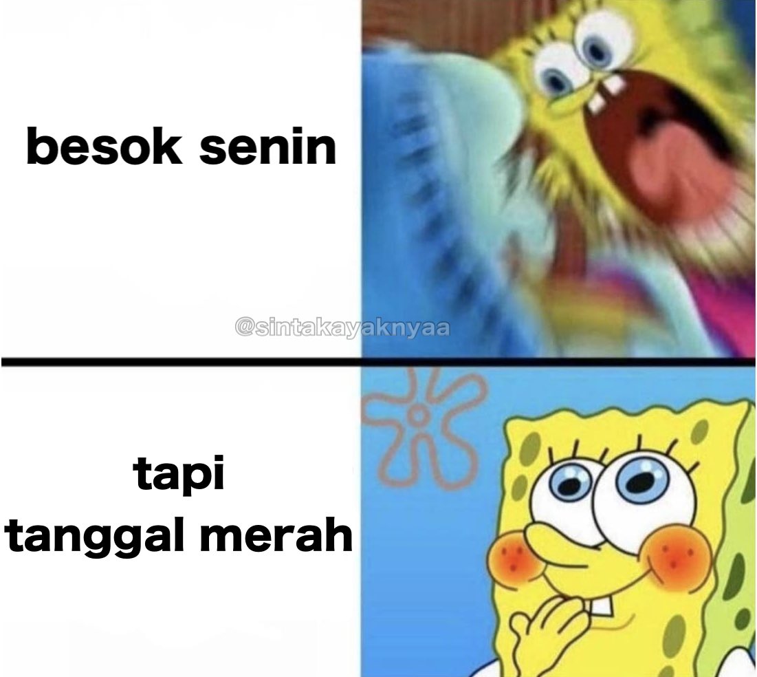 Sinta tweet media