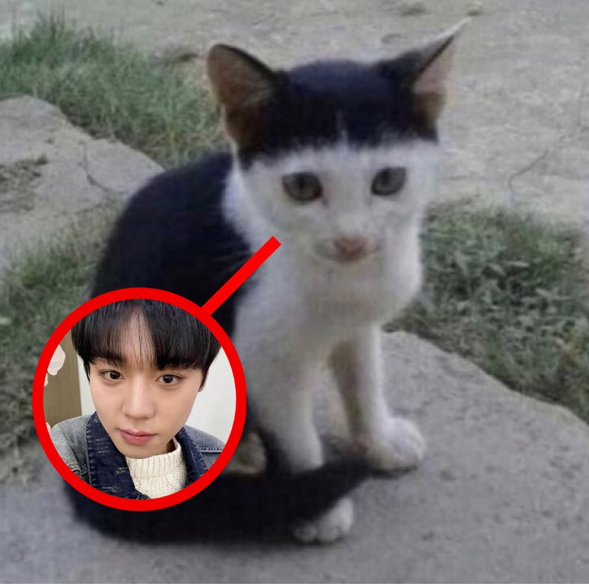 jigooverse's tweet photo. it's him !! https://t.co/DP1t1QFju3