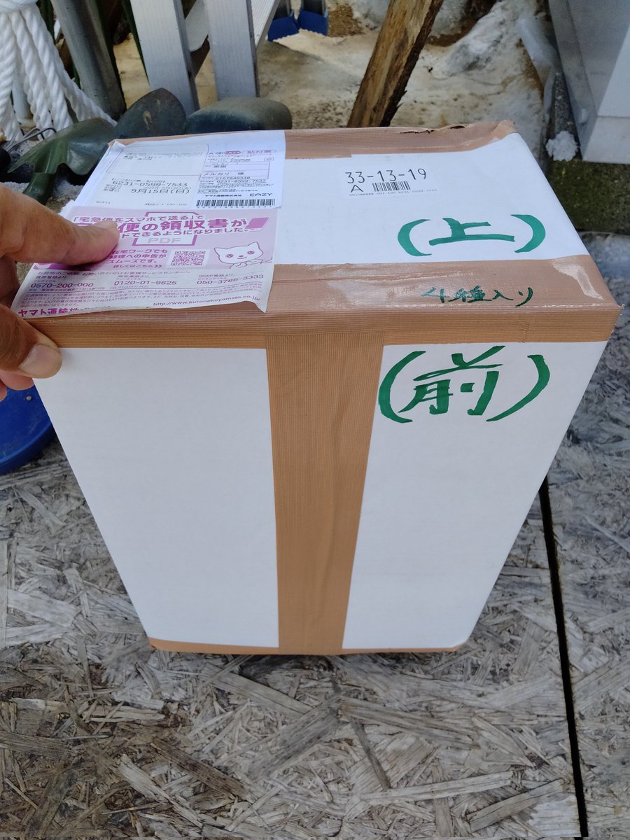 vso_osv's tweet photo. 9月15日(日)12:00 到着
備忘録 無花果 #イチジク
#CDDR(コルデダマリマダ)
#ゴールデンリバーサイド
はロングスリット鉢6号へ
#イスキアブラック
は根っこつよし鉢7号へ
#バサロ バサロだけサビ病が気になりバッサリ葉欠きして
ロングスリット鉢5号へ鉢増し
メネデール100倍液を注いで短時間日光浴 https://t.co/G2p6SFoTMT