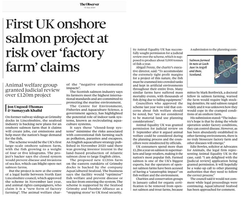 TheGAAIA's tweet photo. The Observer: "First UK onshore salmon project at risk over 'factory farm' claims" @JonUngoedThomas @Sumayyah_UK @ObserverUK @animal_equality @NELCouncil @Animallawyersuk @officialgtfc @CefasGovUK @MartinVickers @melanie_onn 
Read article via https://t.co/lGayrsHND2 https://t.co/iKkb8Q4D9H