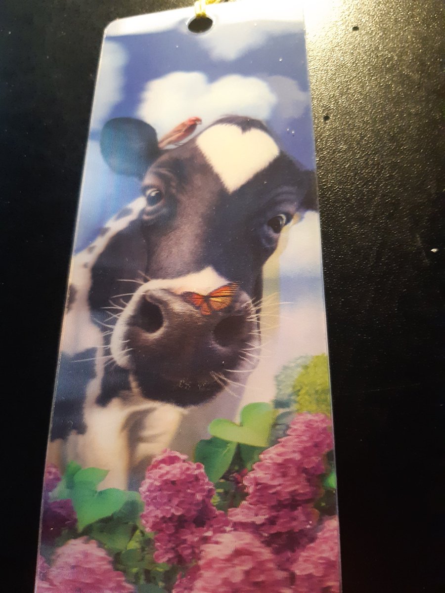 Die koe denkt. Wat doet die vrouw met hakken in mijn stal?
Gaar zij beslissen over mijn toekomst????