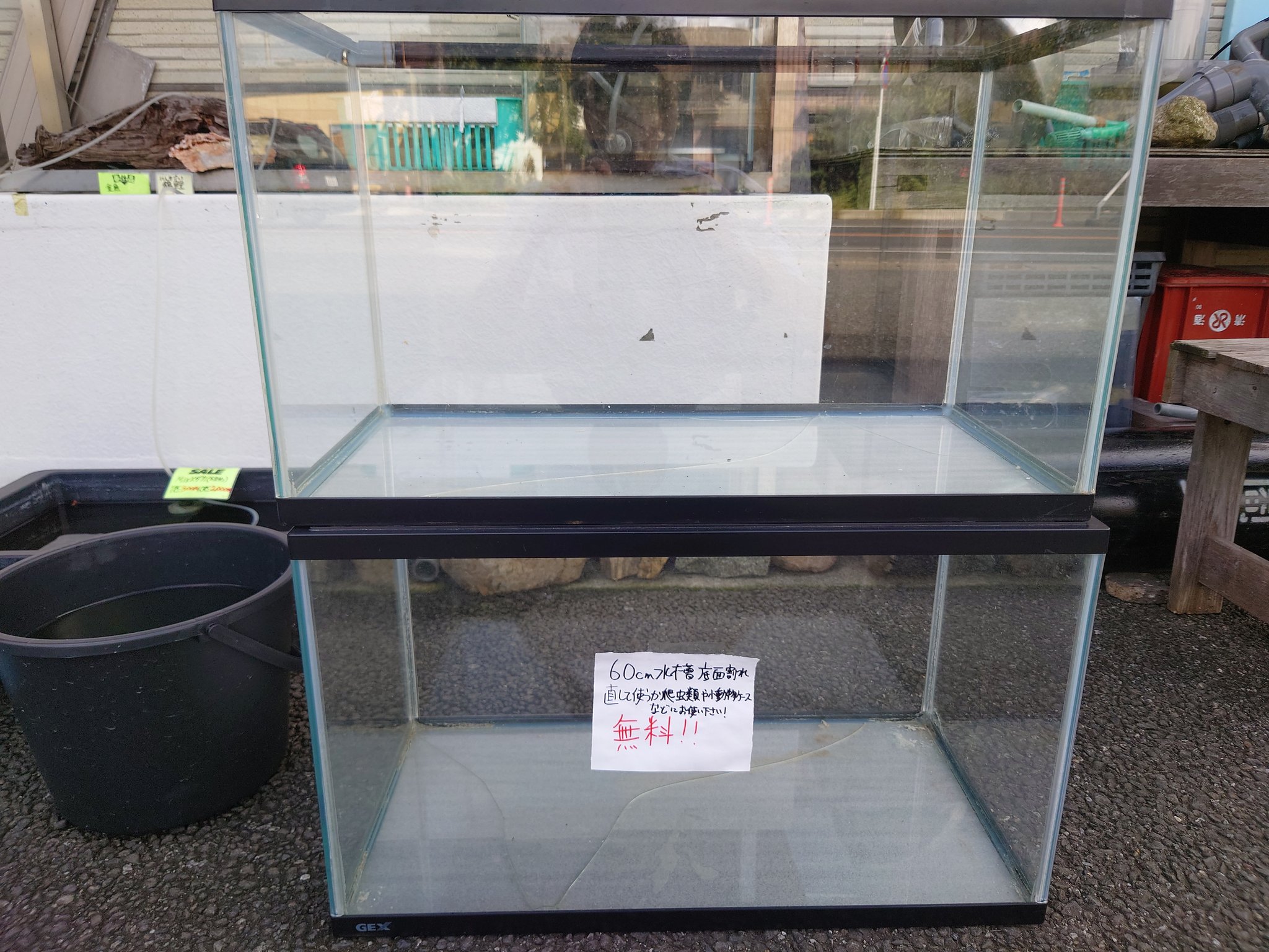 60cmアクリル水槽(クラックあり) 怪しく