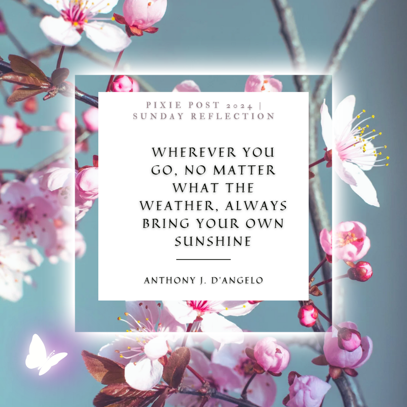 ThePixiePost's tweet photo. Good Morning &amp; Happy Sunday #SundayReflection #SundayMorning https://t.co/f7fz2daO7S