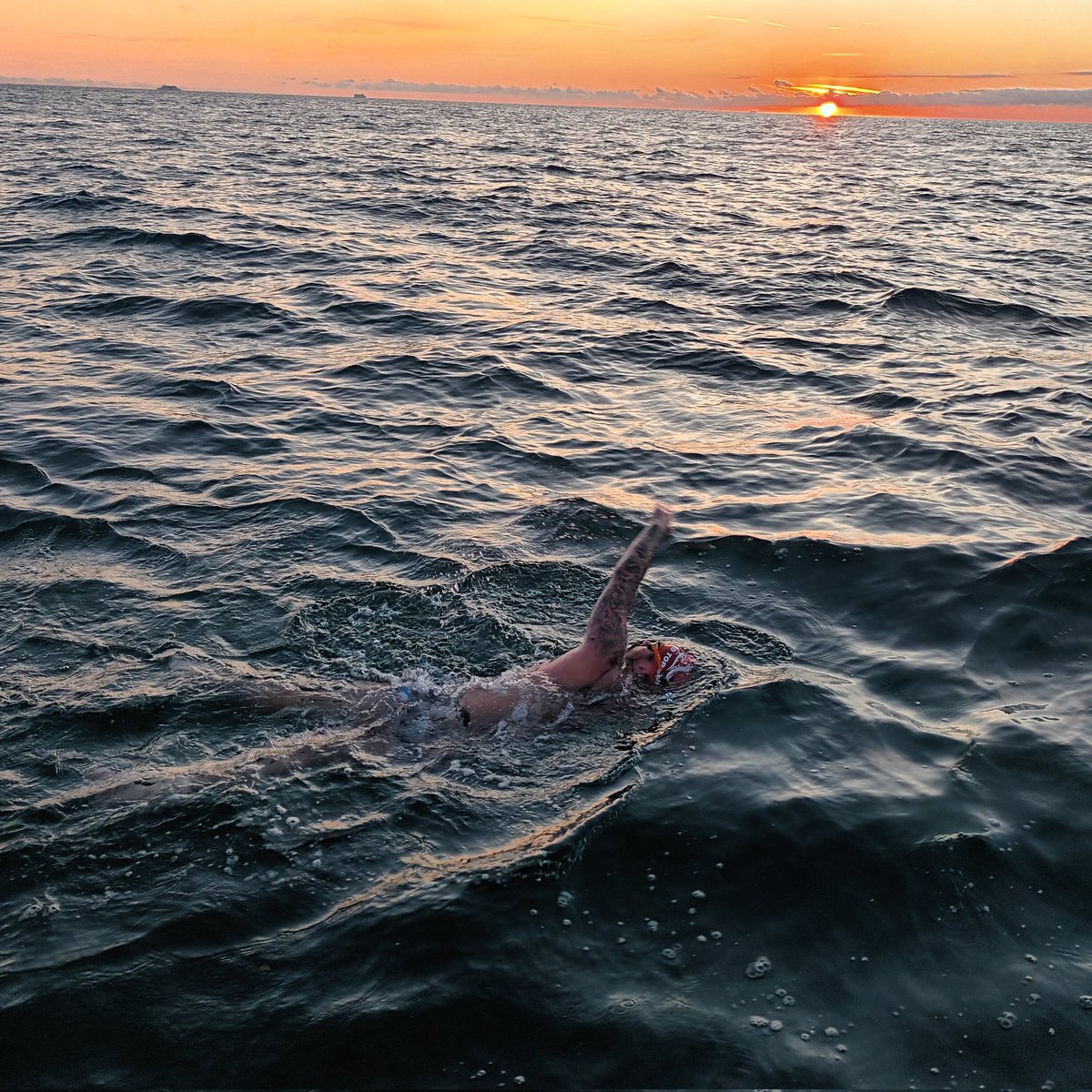 Red Top Nils tweet media