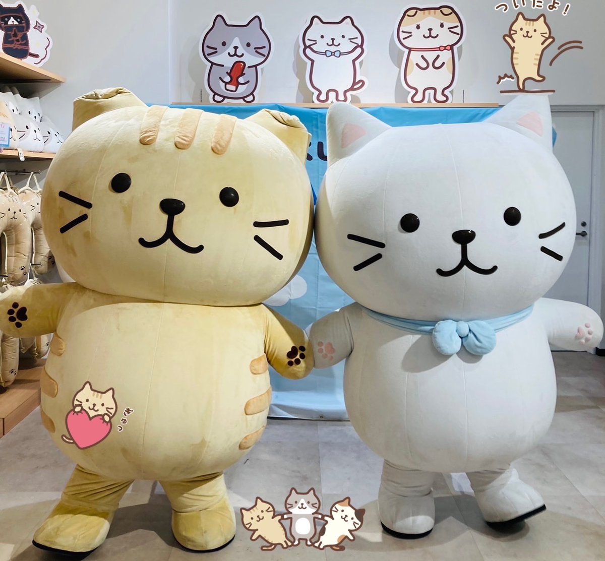 Fuku Fuku Nyanko(ふくふくにゃんこ) on X