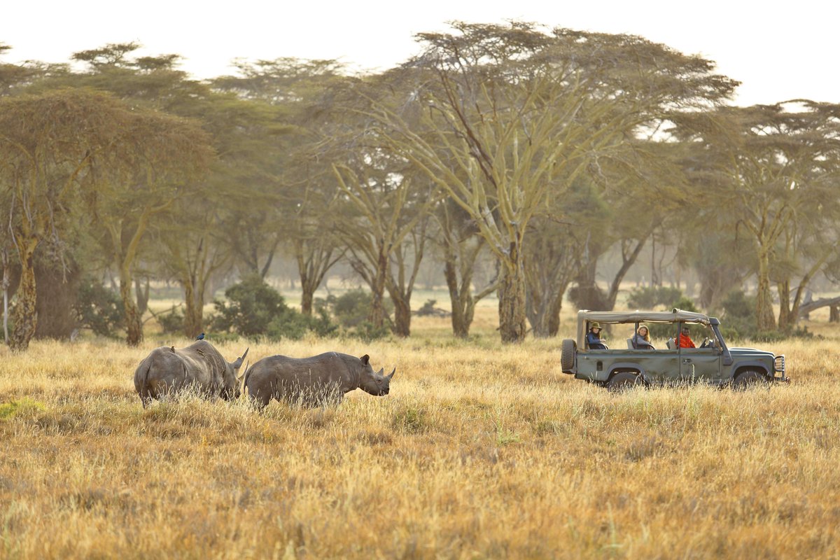 BontelSafaris's tweet photo. 🦏✨ Discover the magic of Elewana Kifaru House at the heart of the iconic Lewa Wildlife Conservancy! Wake up to breathtaking views, track rhinos on foot, and experience luxury like never before. 🌿🌅
#ElewanaCollection #LewaConservancy #WildlifeLuxury #AdventureAwaits https://t.co/yfuw7oX9ZI