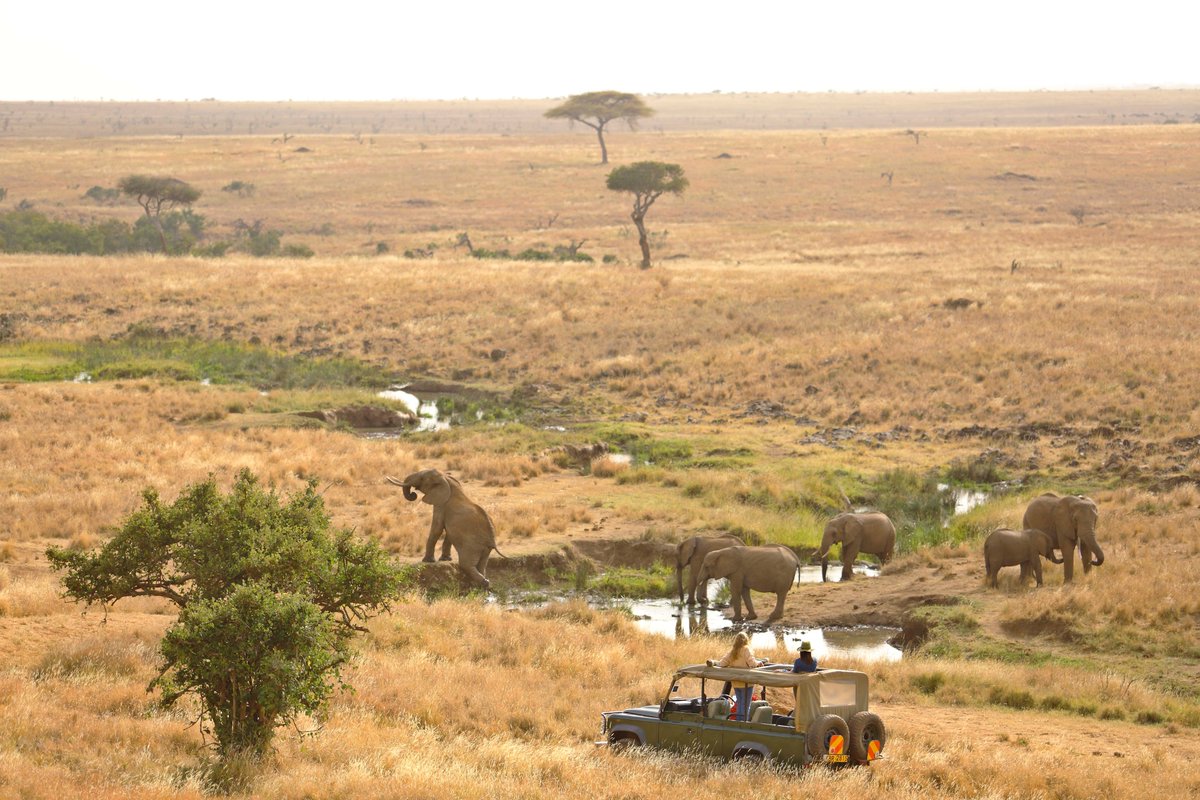 BontelSafaris's tweet photo. 🦏✨ Discover the magic of Elewana Kifaru House at the heart of the iconic Lewa Wildlife Conservancy! Wake up to breathtaking views, track rhinos on foot, and experience luxury like never before. 🌿🌅
#ElewanaCollection #LewaConservancy #WildlifeLuxury #AdventureAwaits https://t.co/yfuw7oX9ZI
