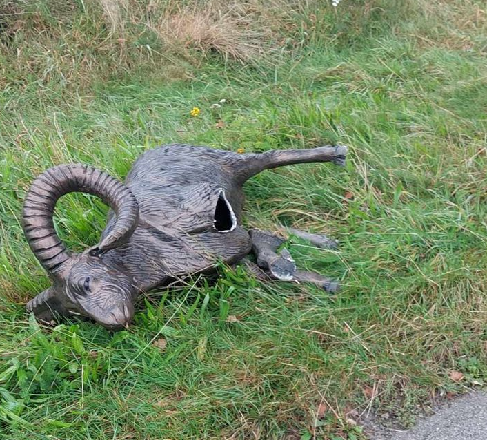 SleenWeb's tweet image. Splinternieuwe rotonde ram nu alweer vernield dlvr.it/TDG1gv