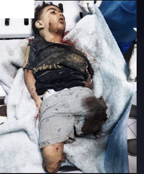 free palestine tweet media